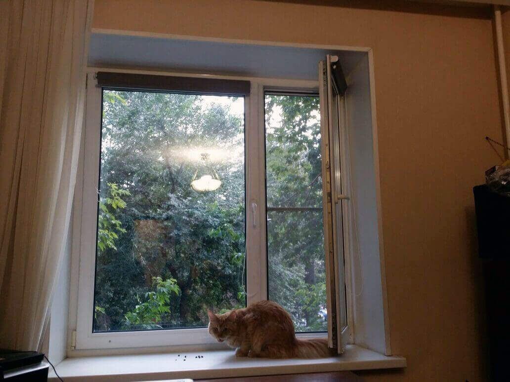 Окно и рыжий кот 2