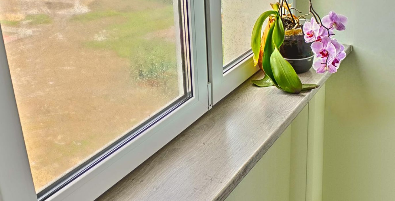windowsills