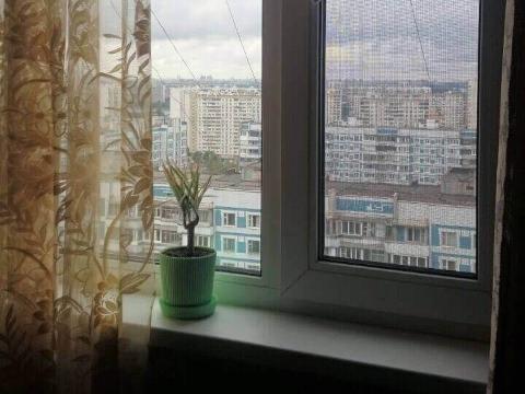 Окно с тюлем